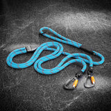2-in-1 Game Changer Dog Leash