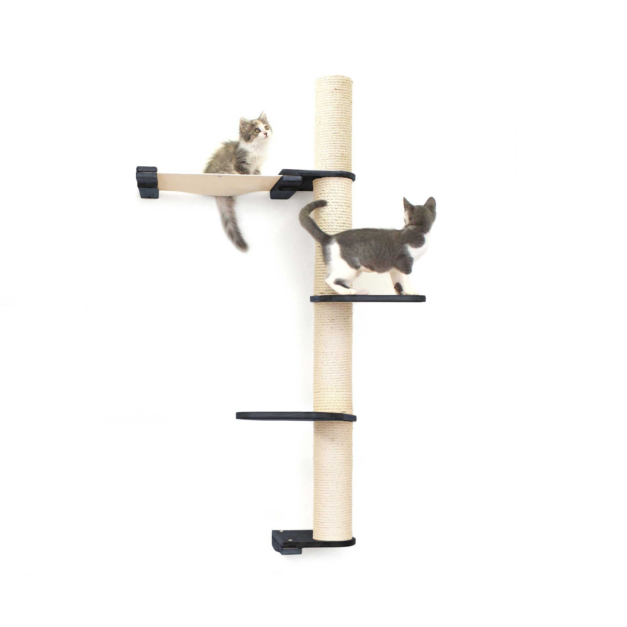 The Crow's Nest - A Wall Cat Scratcher with Hammock by Catastrophic Creations