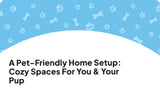 A Pet-Friendly Home Setup: Cozy Spaces for You & Your Pup