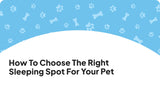 How to Choose the Right Sleeping Spot for Your Pet (And Why It Matters!)