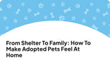 From Shelter to Family: How to Make Adopted Pets Feel at Home