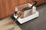 Cat Litter Box and Accessories