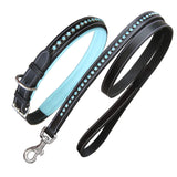 Bridles & Reins