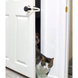 Pet Doors and Accessories