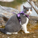 Cat Leashes, Collars, Harnesses