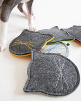 Cat Toys