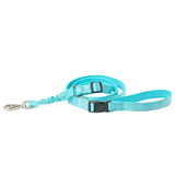 City Dog Leash - Fifth Avenue Blue