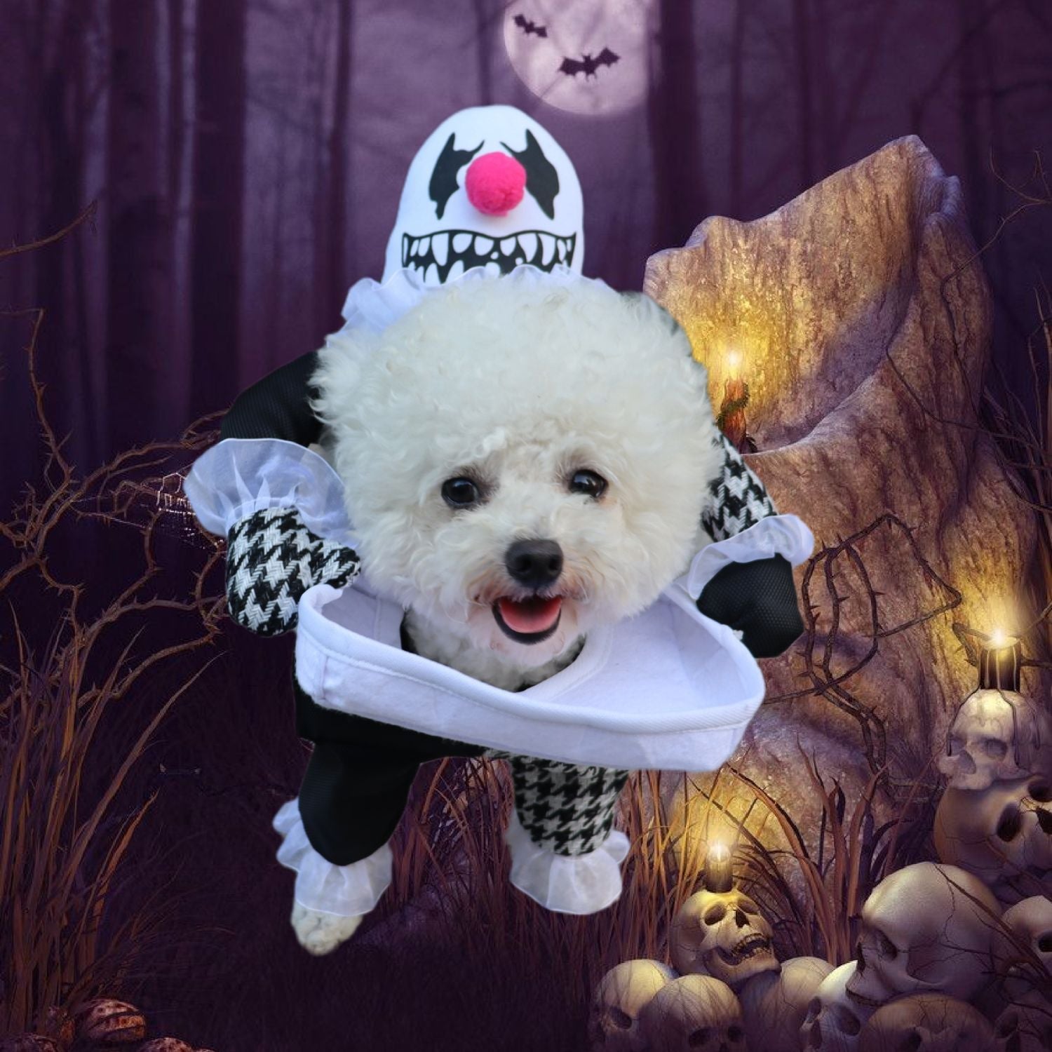 Halloween Clown Carrying-Pet Illusion Costume
