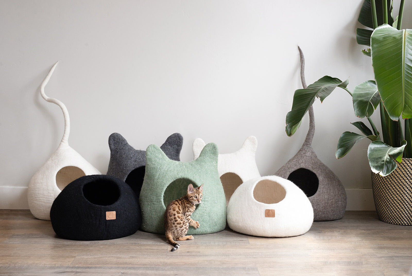 Wine Burgundy | Tail Style Cave