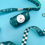 Thunderstruck Leash