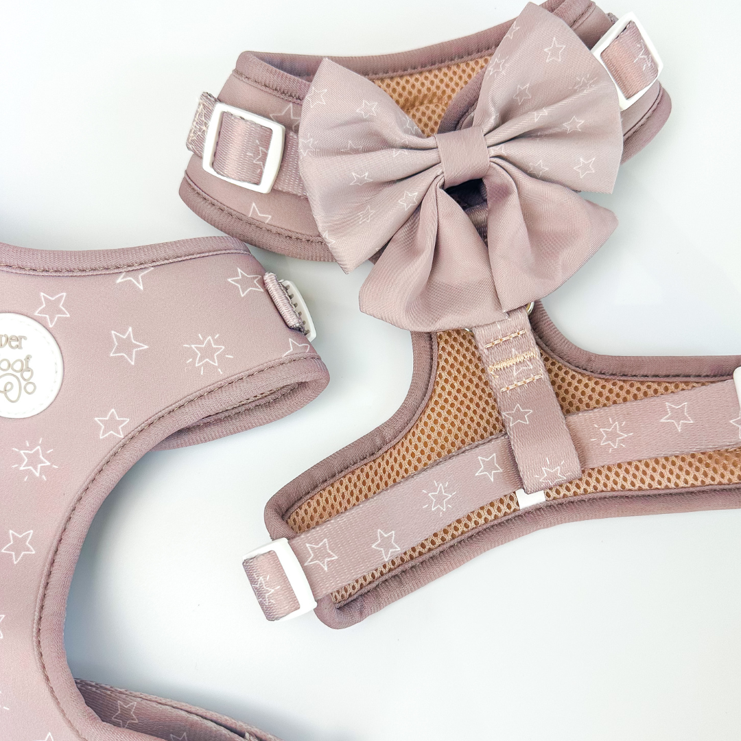 Asteria Bow