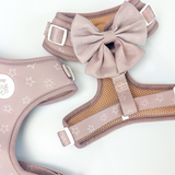 Asteria Bow
