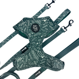 Evergreen Dream Leashes