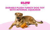 Thanksgiving Squeaky Plush Turkey Dog Toy