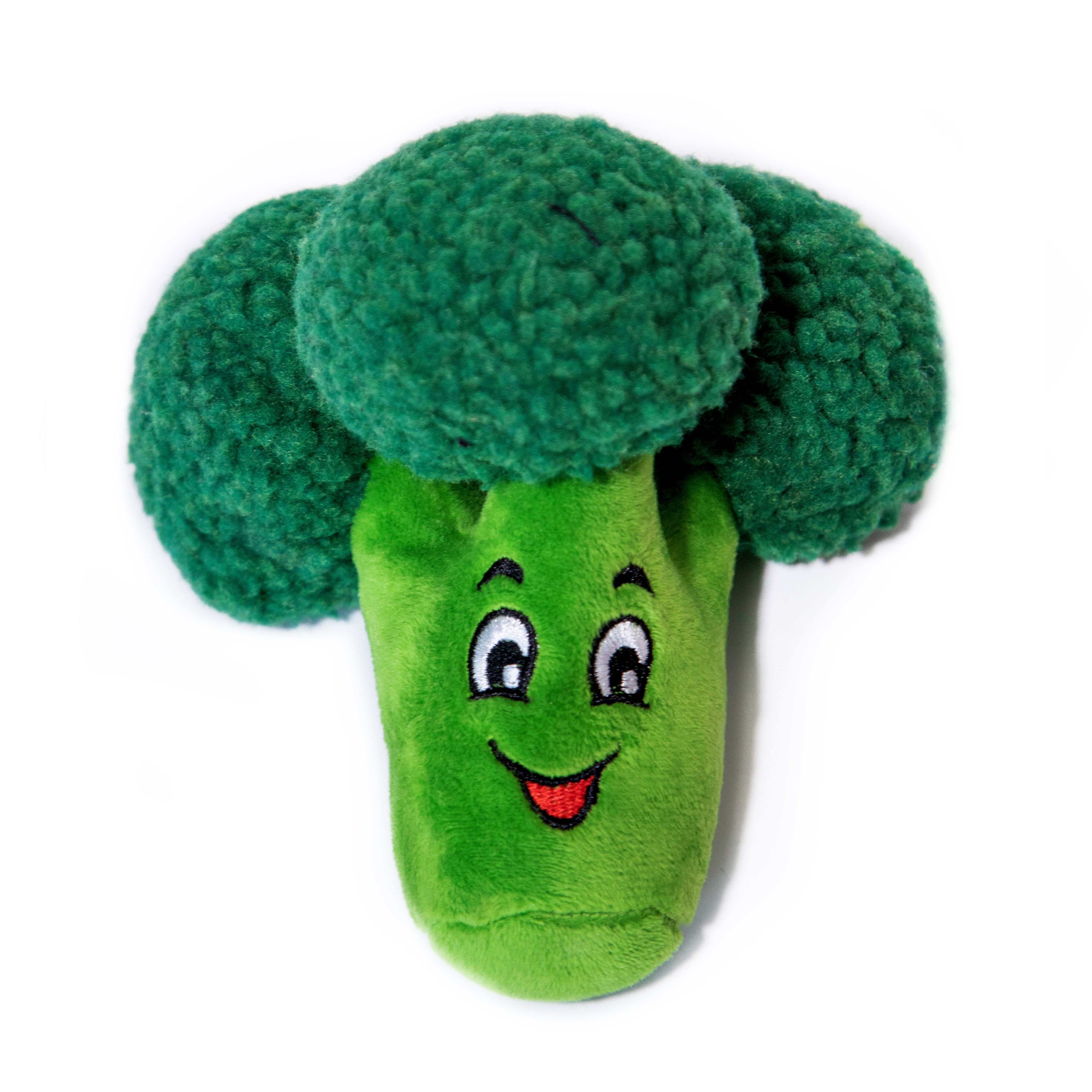 Squeaky Broccoli Plush Dog Toy