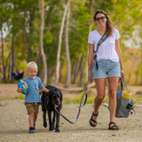 Leash System