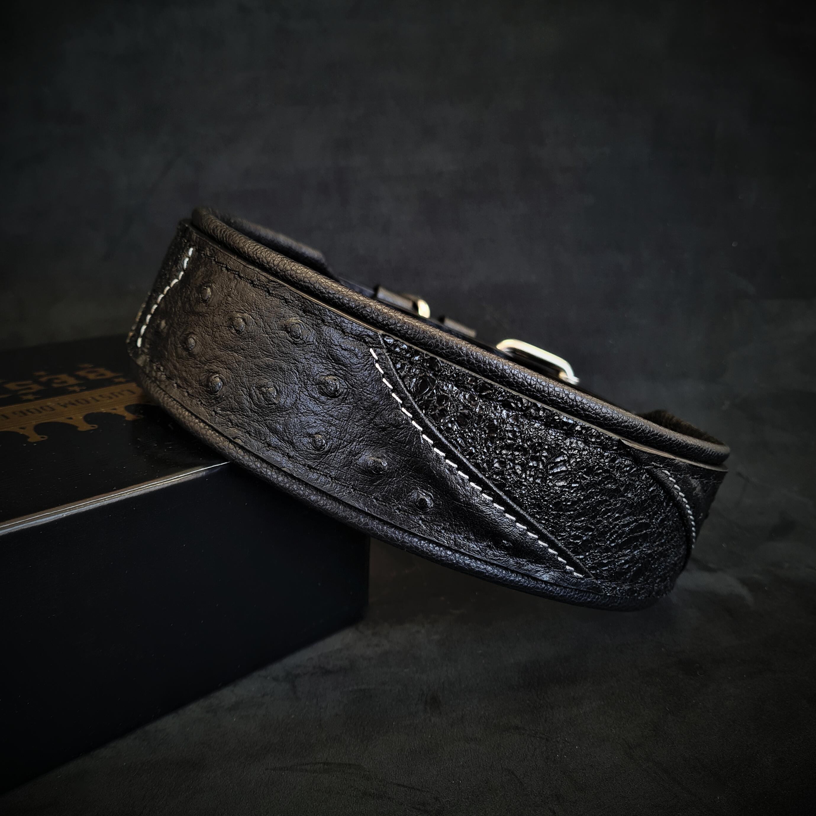The "Korona" collar BLACK EDITION