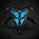 The ''Morelia Python'' harness Medium Size