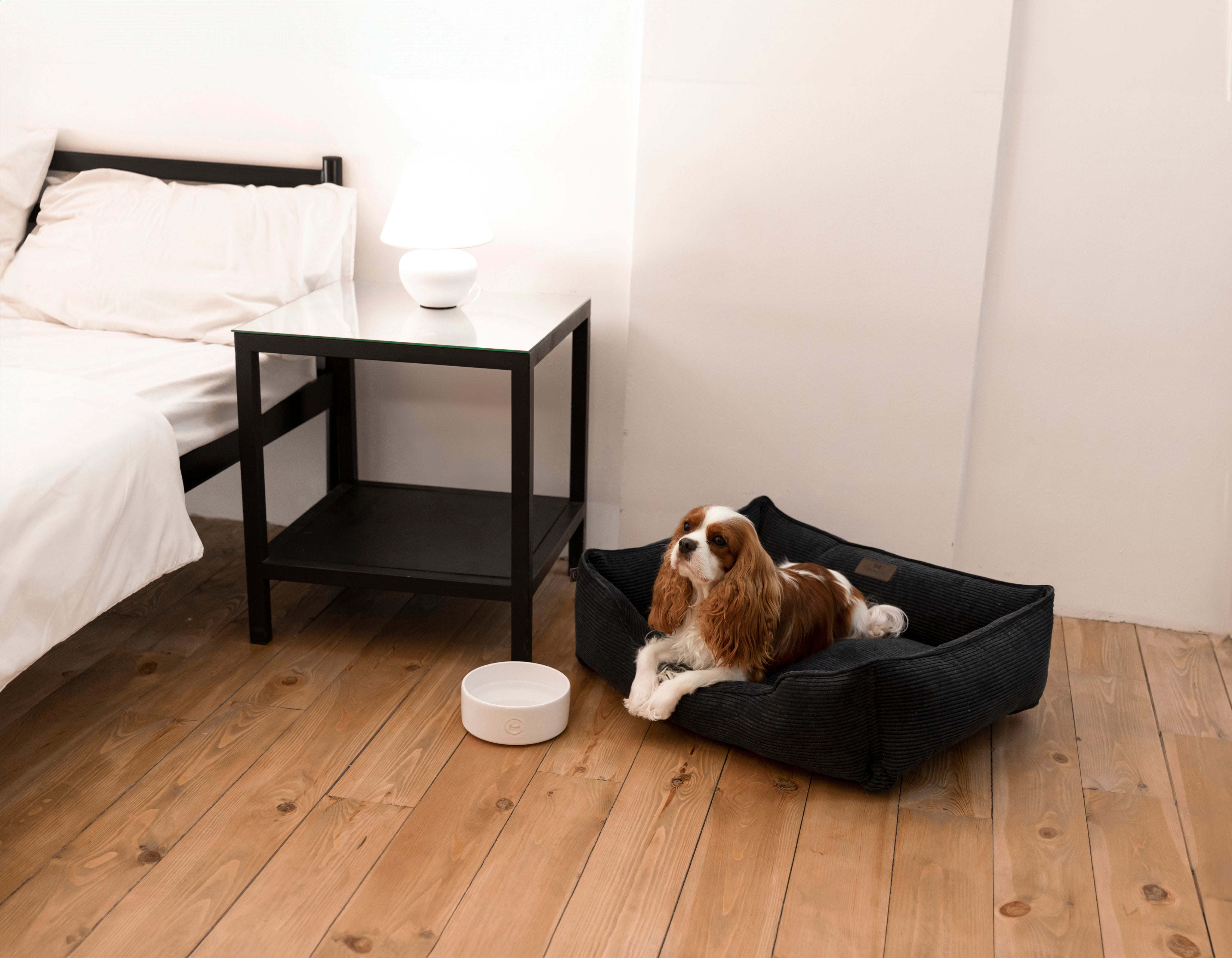 Sleeper Dog Bed Corduroy - Ocean Color
