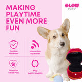Squeaky Engagement Ring Dog Toy