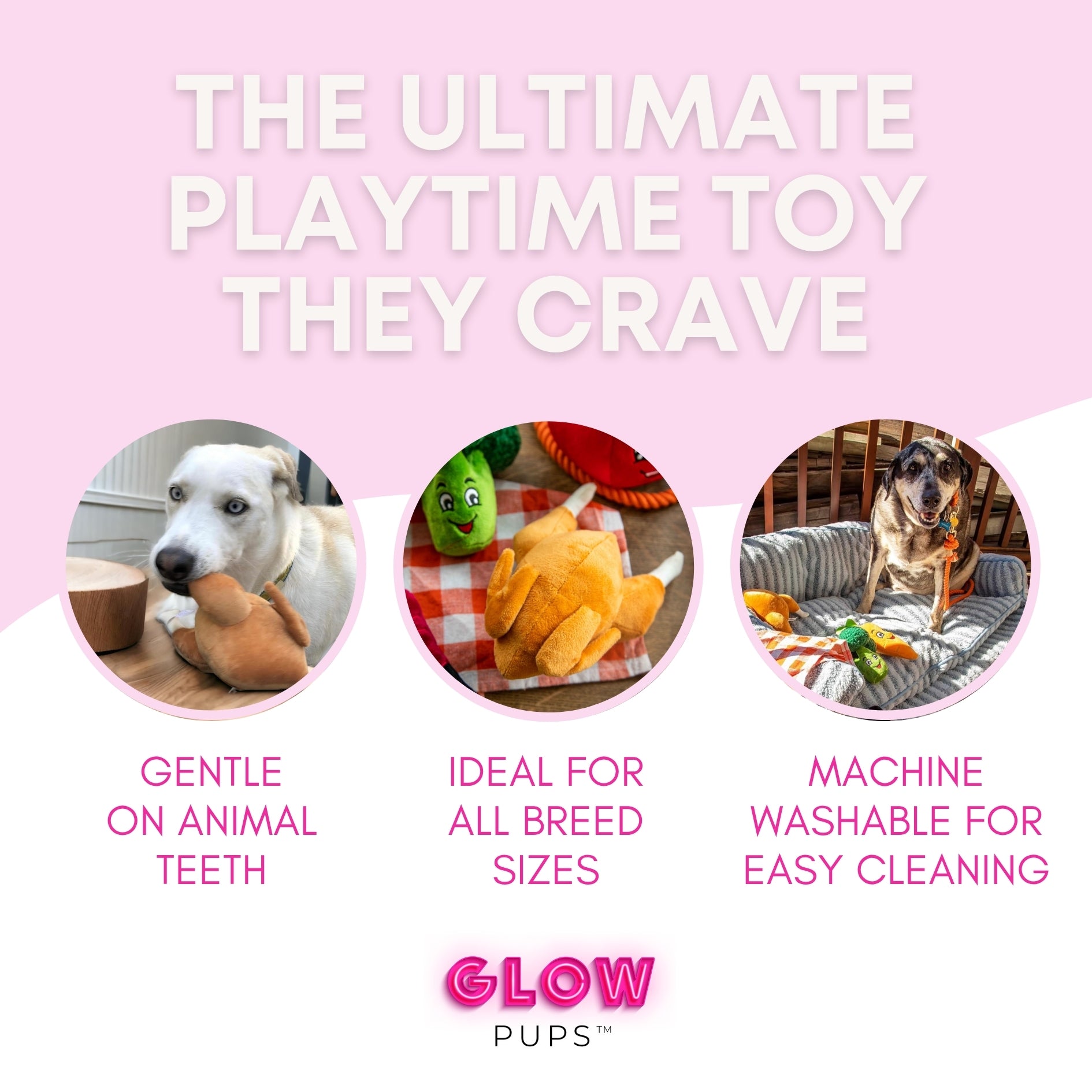 Thanksgiving Squeaky Plush Turkey Dog Toy