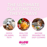 Thanksgiving Squeaky Plush Turkey Dog Toy