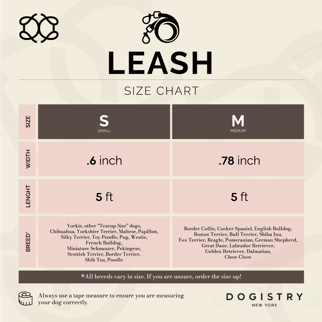 3-in-1 City Dog Leash - Ocean