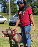 The "Eros" collar 2.5 inch wide RED
