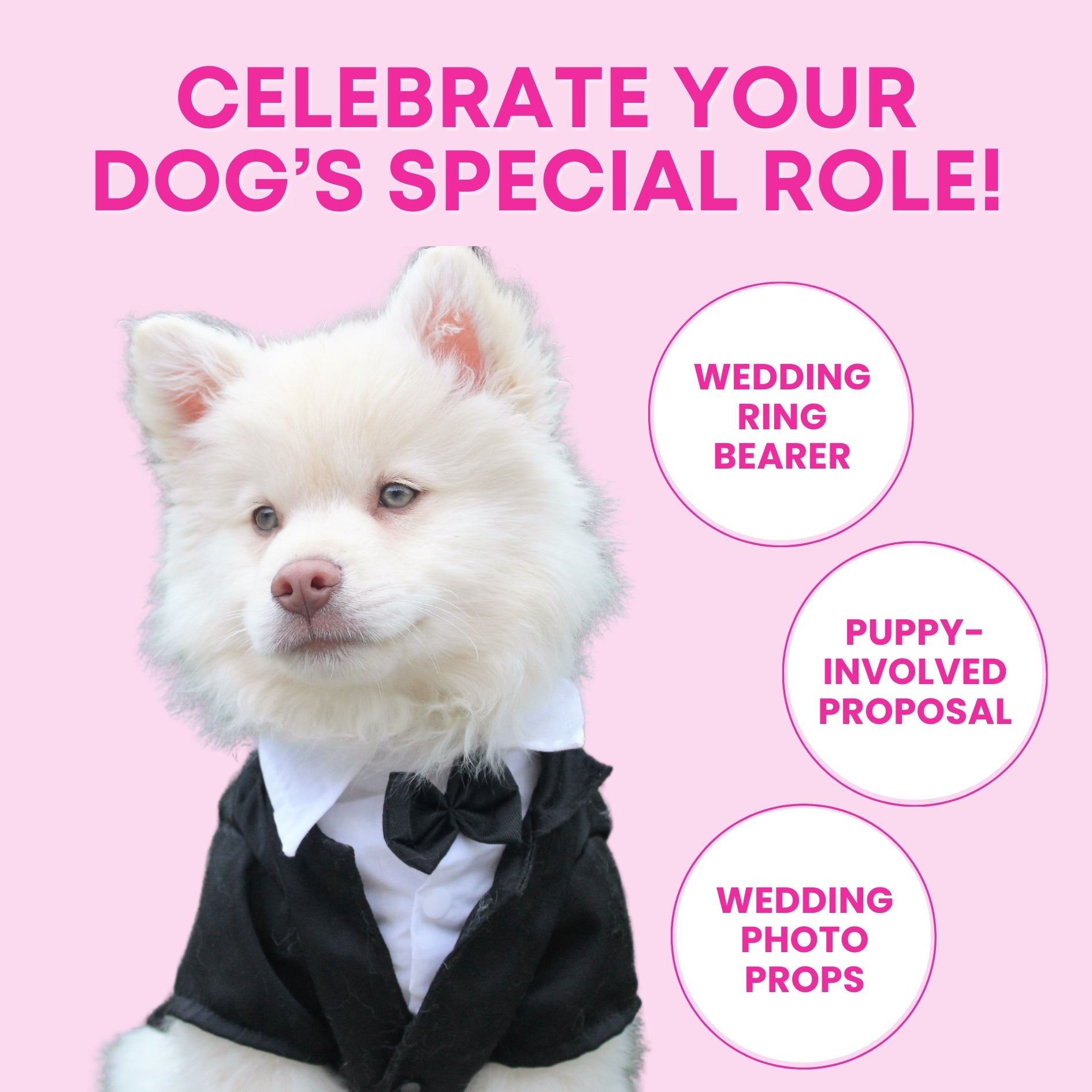 Squeaky Engagement Ring Dog Toy