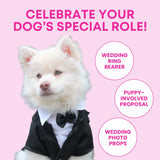 Squeaky Engagement Ring Dog Toy