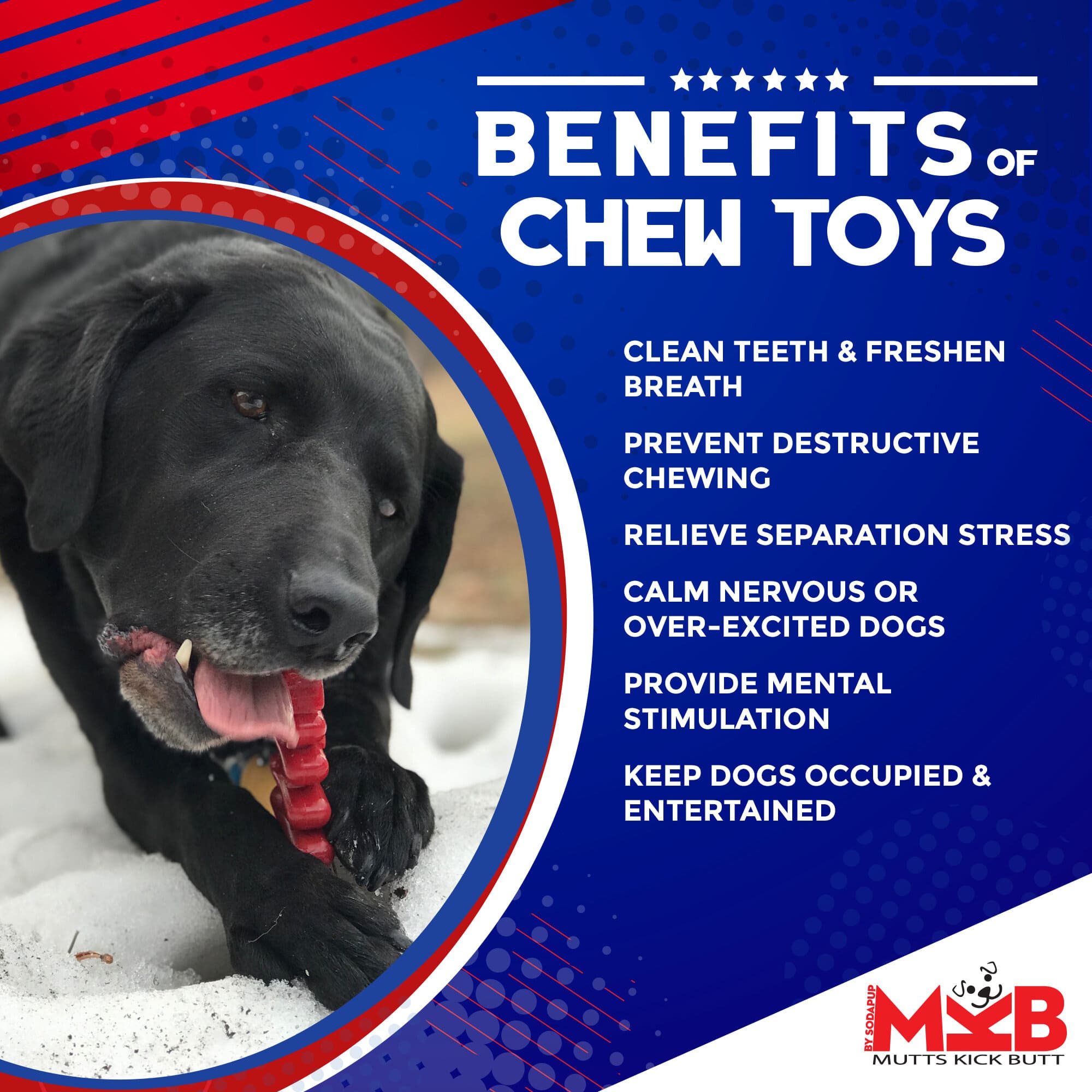 Christmas Tree Nylon Dog Chew Toy | USA Made | SodaPup