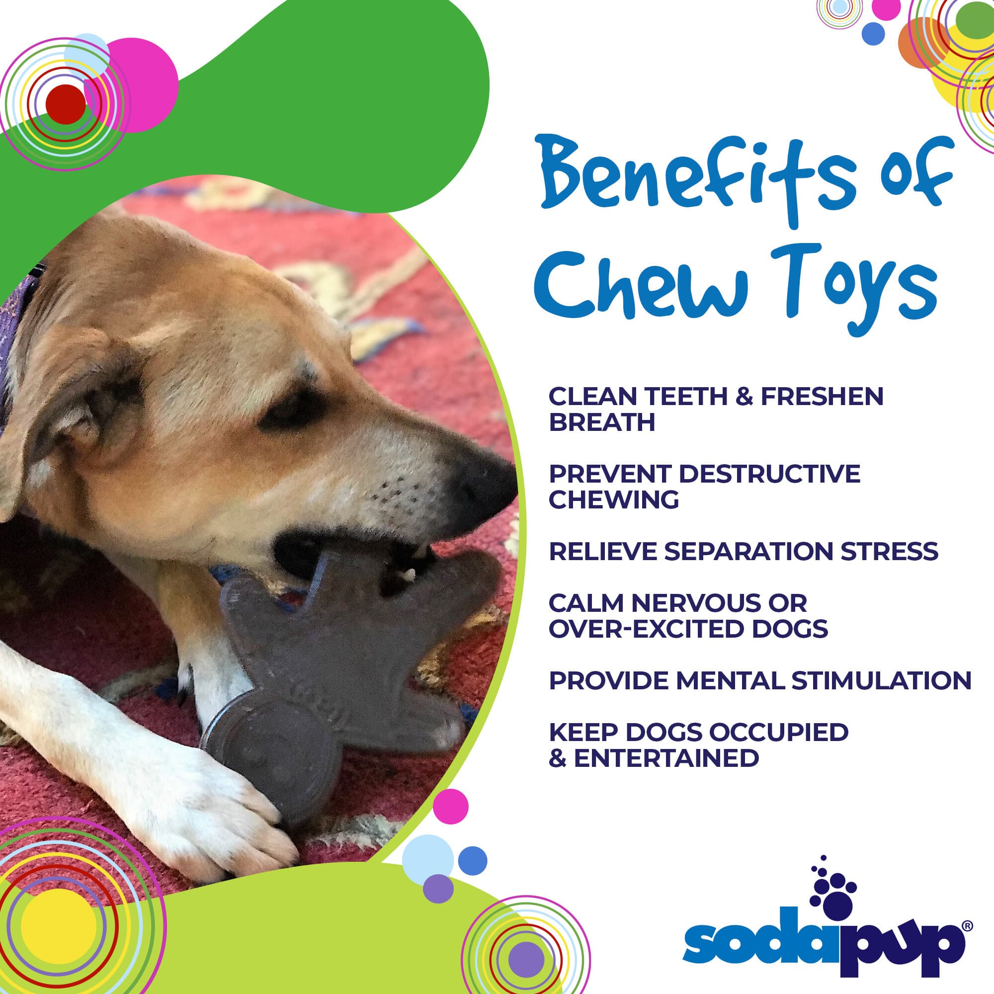 Gingerbread Man Nylon Dog Chew Toy | USA Made | SodaPup