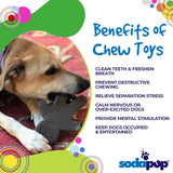 Gingerbread Man Nylon Dog Chew Toy | USA Made | SodaPup