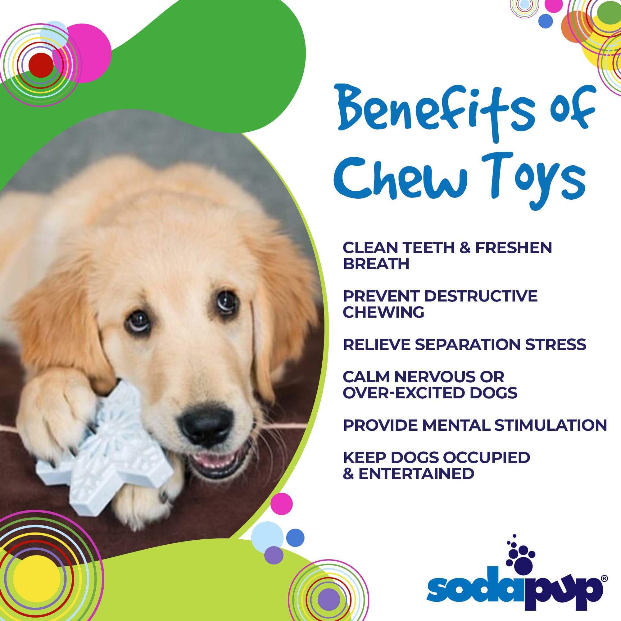 Snowflake Nylon Dog Chew & Enrichment Toy | SodaPup