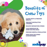 Snowflake Nylon Dog Chew & Enrichment Toy | SodaPup