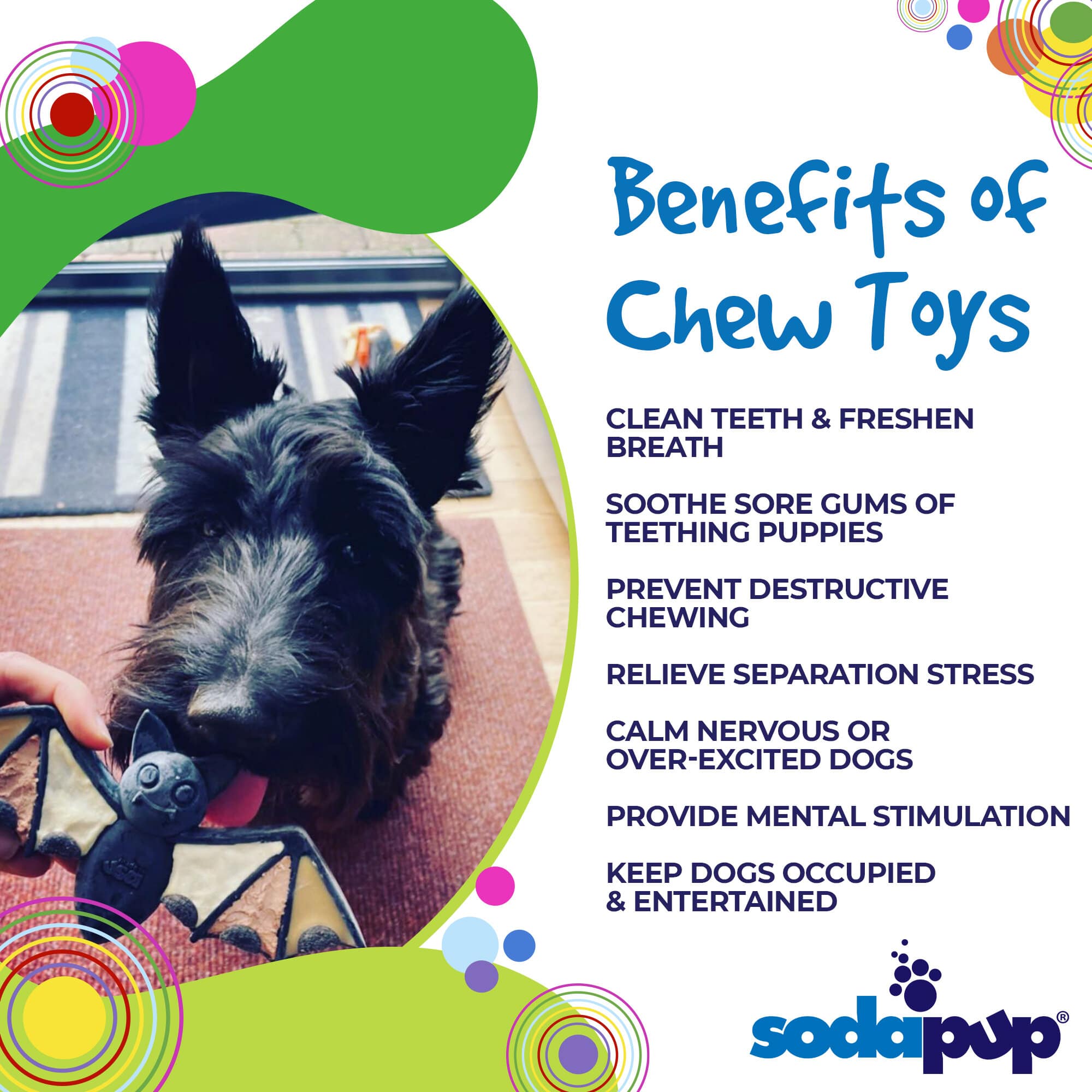 Vampire Bat Dog Chew Toy — Halloween eChew by SodaPup