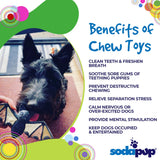 Vampire Bat Dog Chew Toy — Halloween eChew by SodaPup