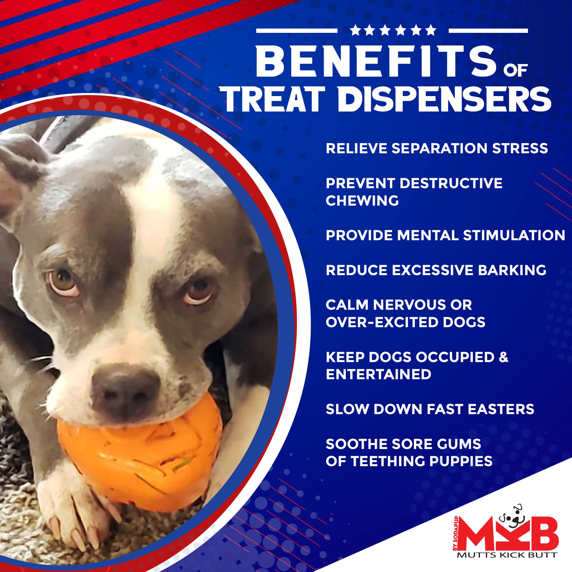 Roasted Turkey Rubber Treat Dispenser | USA Made | SodaPup