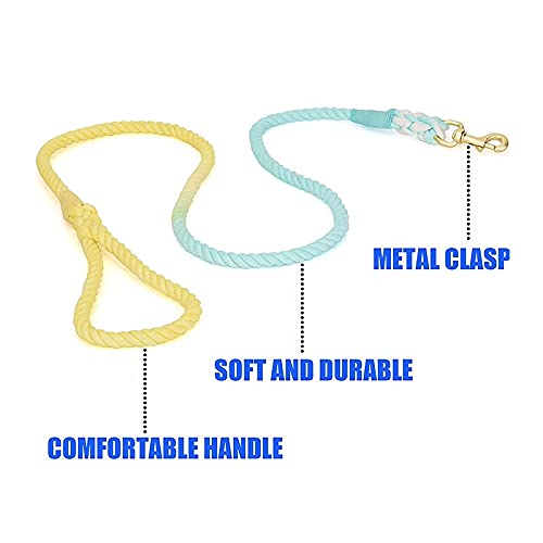 Sunshine Waves Tie Dye Leash