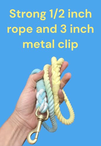Sunshine Waves Tie Dye Leash
