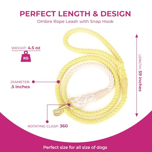 Sunshine Braided Ombre Leash