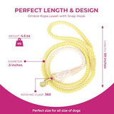 Sunshine Braided Ombre Leash