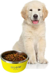 Sunshine Yellow Stainless Steel Dog Bowl