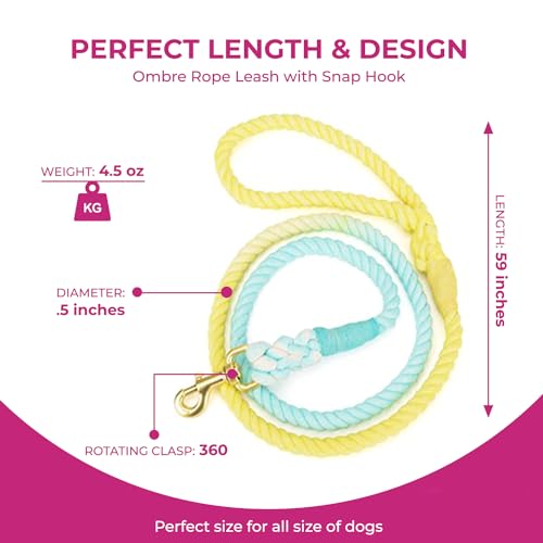 Sunshine Waves Tie Dye Leash