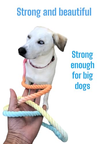 Rainbow Tie Dye Leash