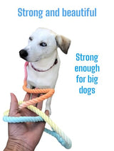 Rainbow Tie Dye Leash