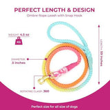 Rainbow Tie Dye Leash