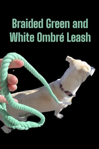 Green Ombre Boho Chic Dog Leash