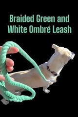 Green Ombre Boho Chic Dog Leash