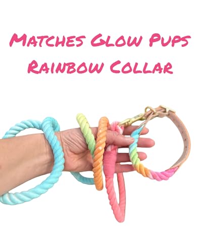 Rainbow Tie Dye Leash